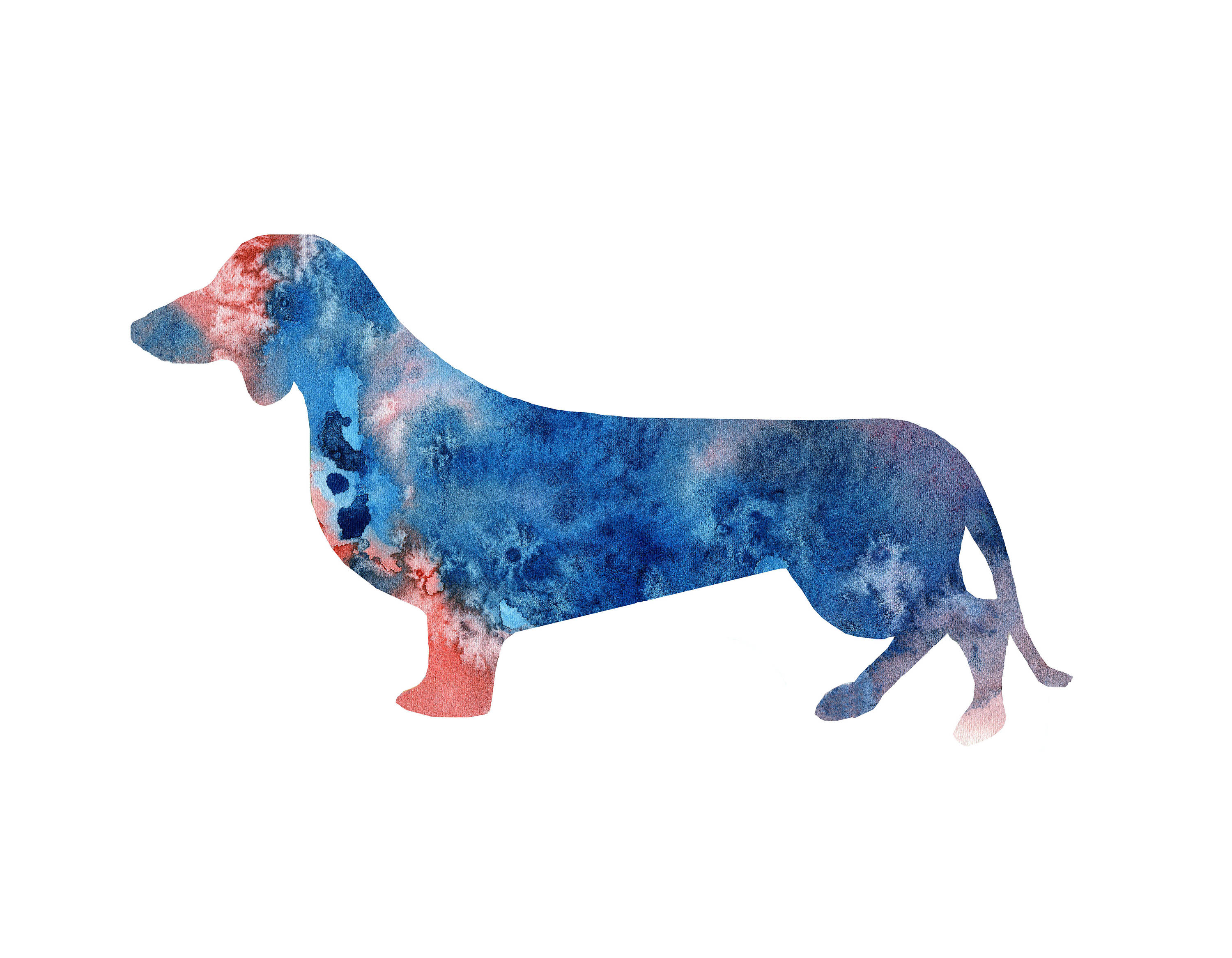 3000x2333 Watercolor Dachshund Art No.1, Dachshund Print, Dachshund Wall