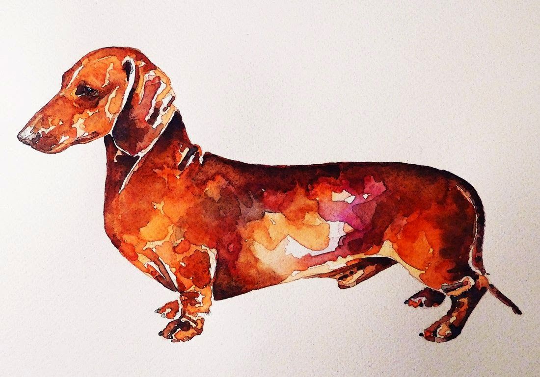 1100x769 Watercolors Of Dachshunds