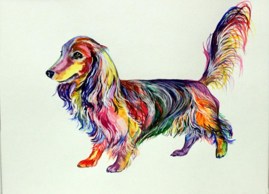 900x651 Dachshund Longhair Art Print On Canvas Dog Watercolor Painting