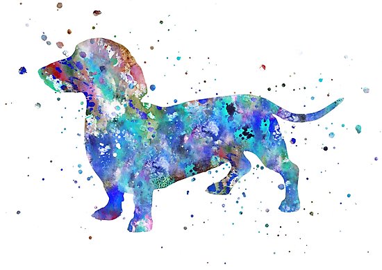 550x389 Dachshund, Dachshund Watercolor Print, Dachshund Art Photographic