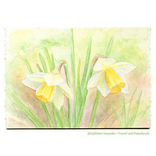 500x500 Daffodil Watercolor Painting