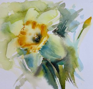 300x288 Daffodils Kaye Parmenter