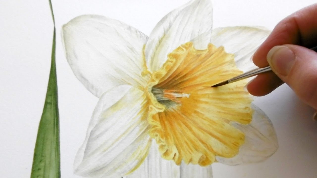 1280x720 How To Paint A Bright Amp Vibrant Springtime Daffodil Jarnie