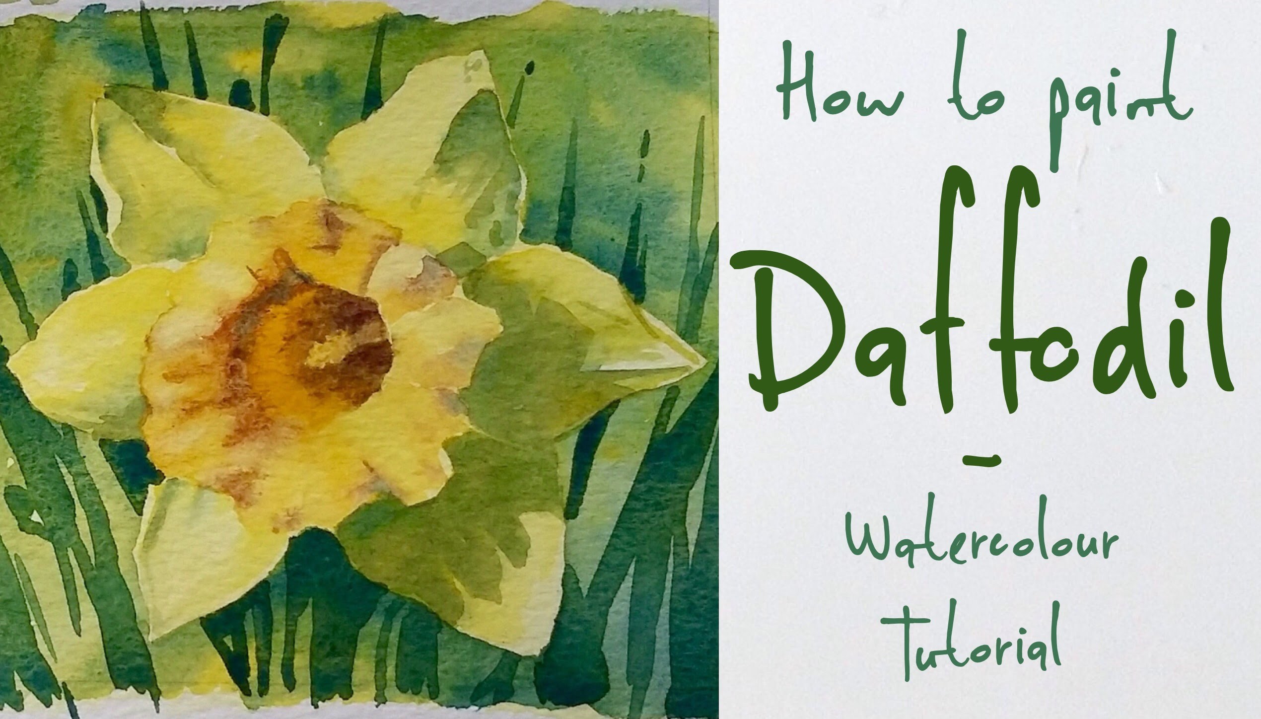 2540x1448 How To Paint A Daffodil Flower