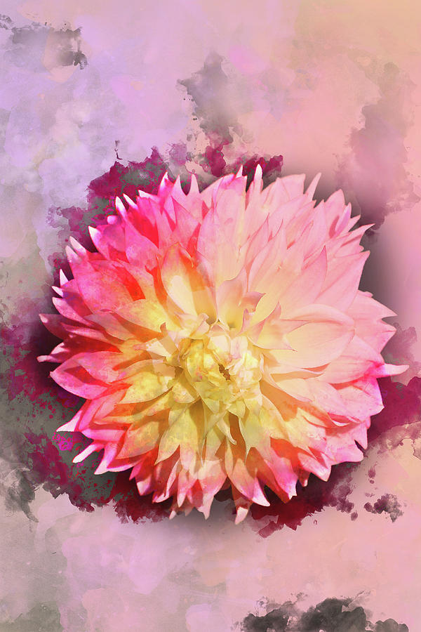 600x900 Dahlia Watercolor Photograph By Sgphoto