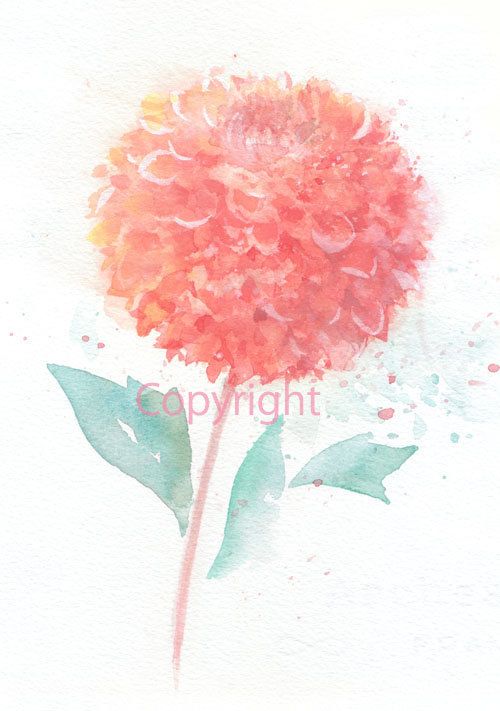 500x711 Fine Art Watercolor Painting, Flower Art, Pink Dahlia Watercolor