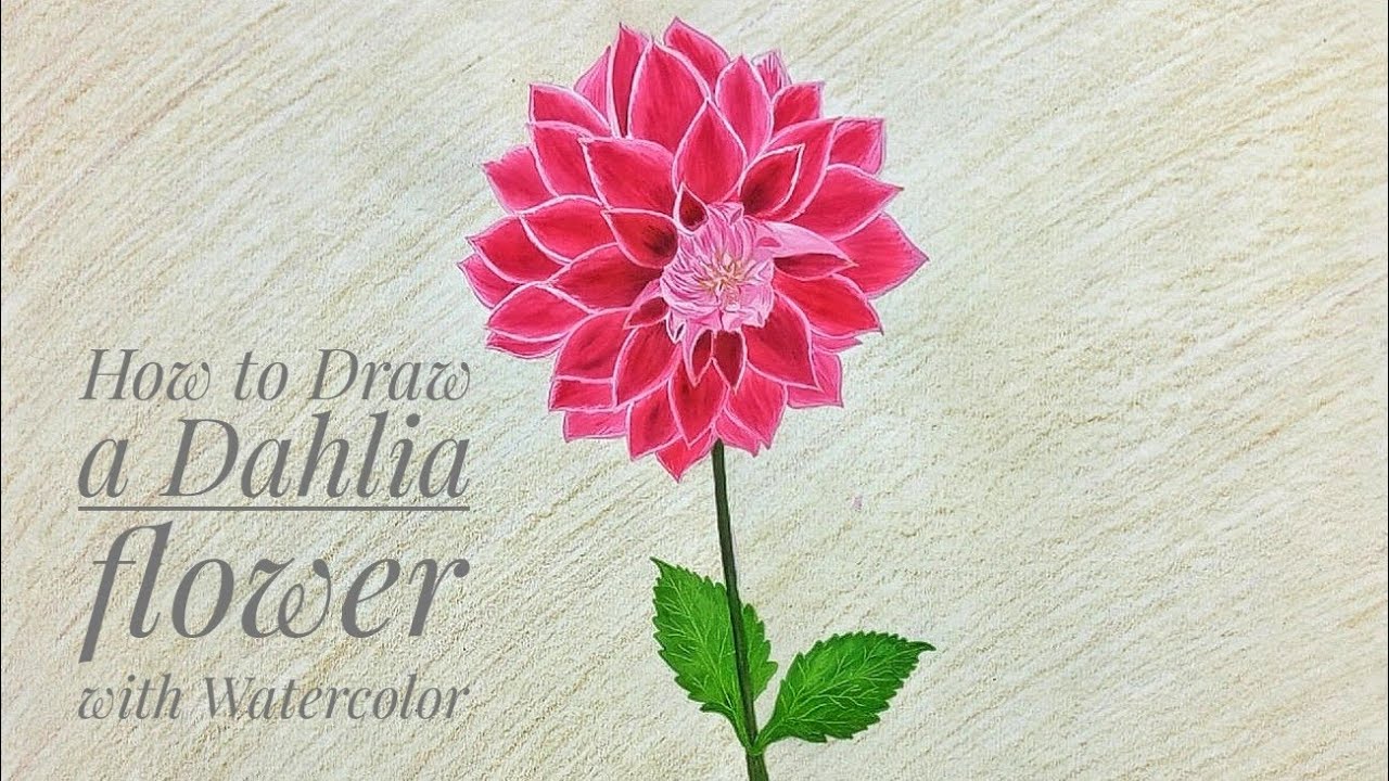 1280x720 How To Draw A Dahlia Flower With Watercolor