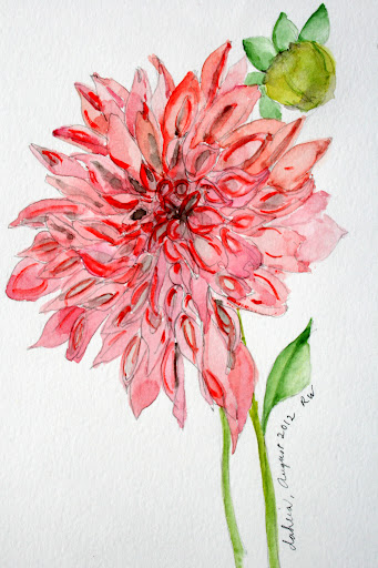 341x512 Inspired By Dahlias Photos, Watercolors, Pen Amp Ink Drawings