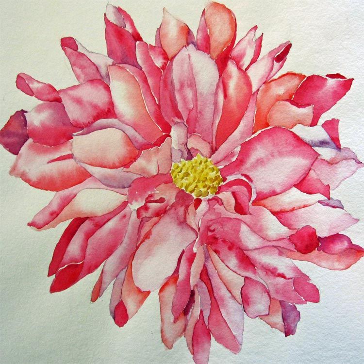 750x750 Watercolor Dahlia Dahlia Watercolor