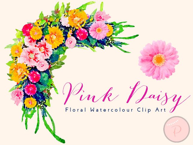 642x482 Pink Daisy Flower Aster Floral Frame Clip Art Watercolor Etsy