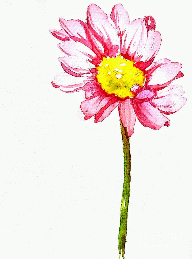 669x900 Pink Daisy Flower With Yellow Stamen In Watercolor Painting By