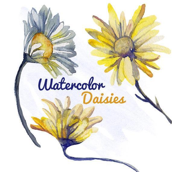 570x570 Watercolor Daisy Flower Clip Art For By Digitalpresscreations