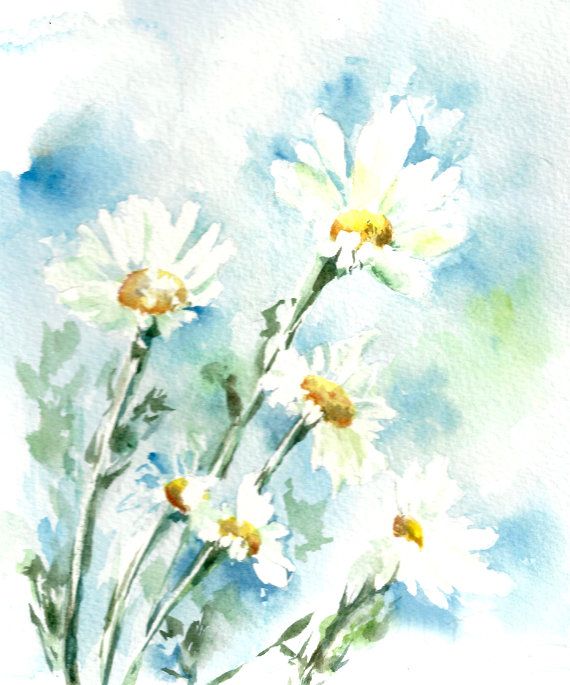 570x685 Watercolor Painting Art Print Daisy Flowers By Canotstopprints