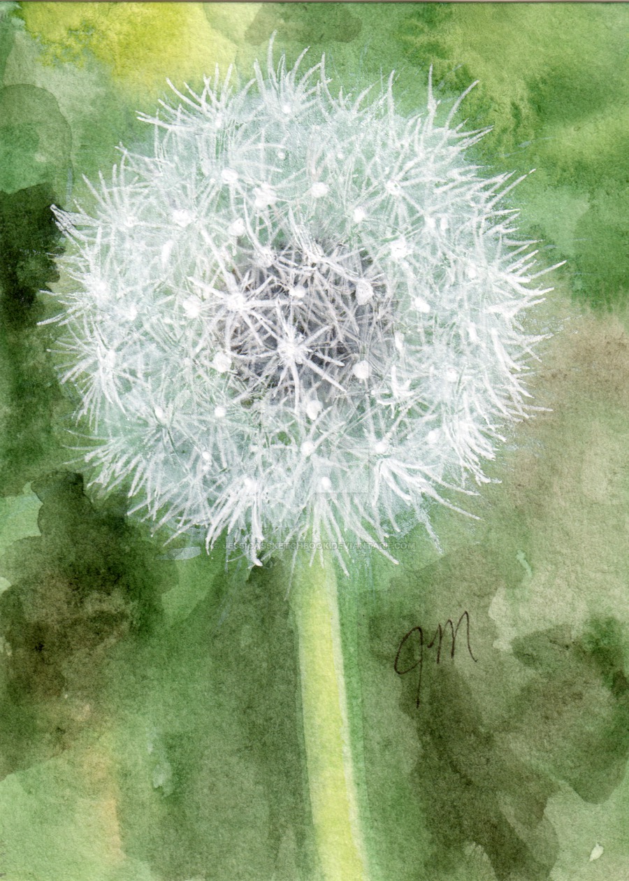 900x1260 Dandelion (Watercolor And White Gel Pen) Aceo By