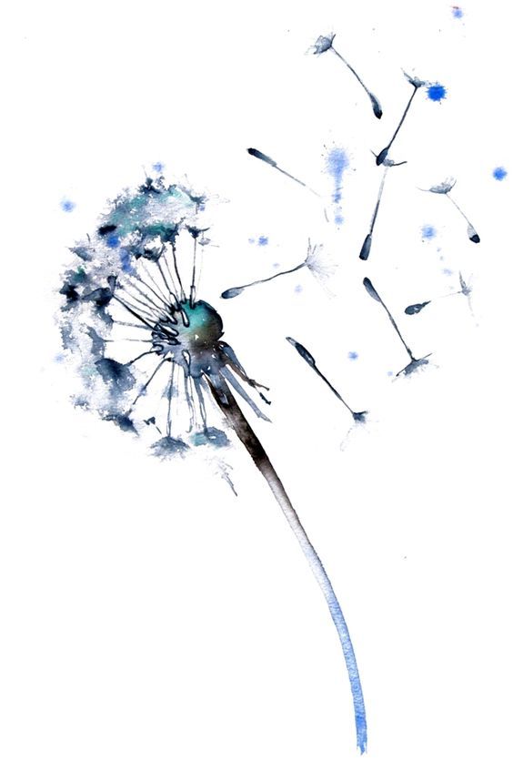 564x836 Watercolor Painting Dandelion In 2018 Tattoo