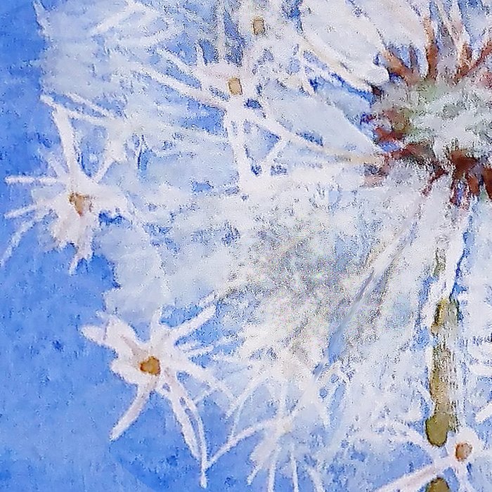 700x700 Flying Dandelion Watercolor Painting Leggings By Colorandcolor