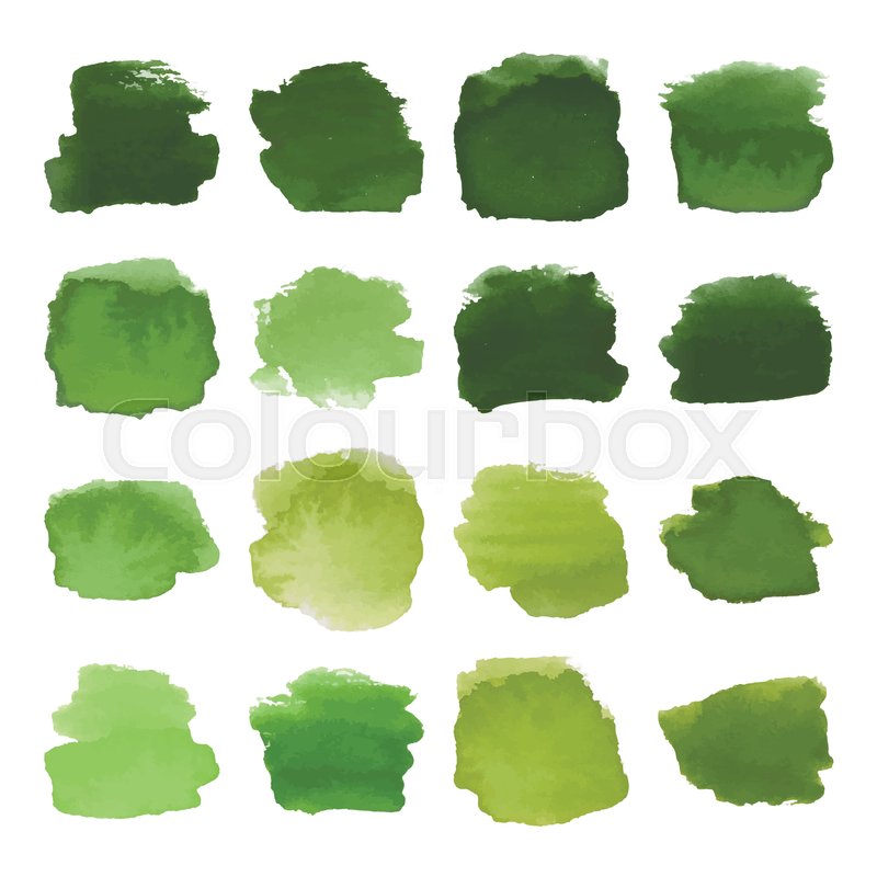 800x800 Vector Set Of Dark Green Watercolor Blots Hand Painted Texture
