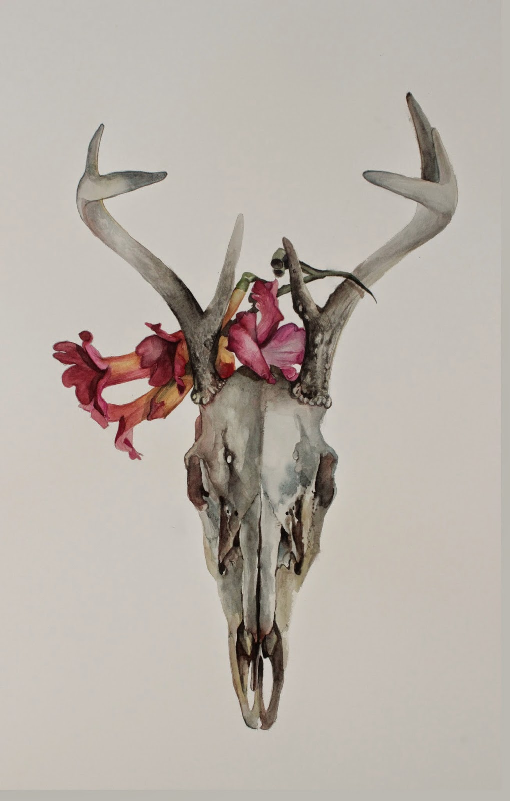 1020x1600 Deer Skull Watercolor