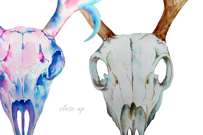 864x576 Watercolor Deer Skull Clipart By Cornercroft