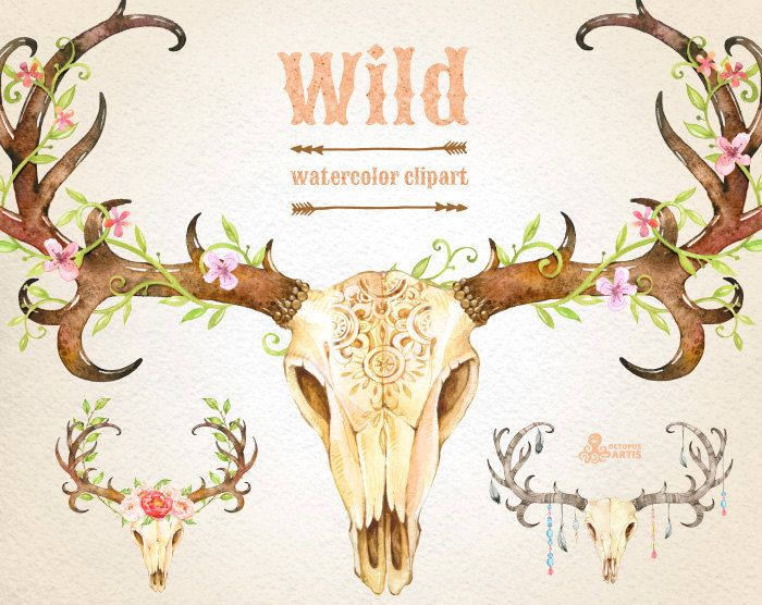 700x556 Wild. 3 Watercolor Skulls With Antlers, Hand Painted Clipart