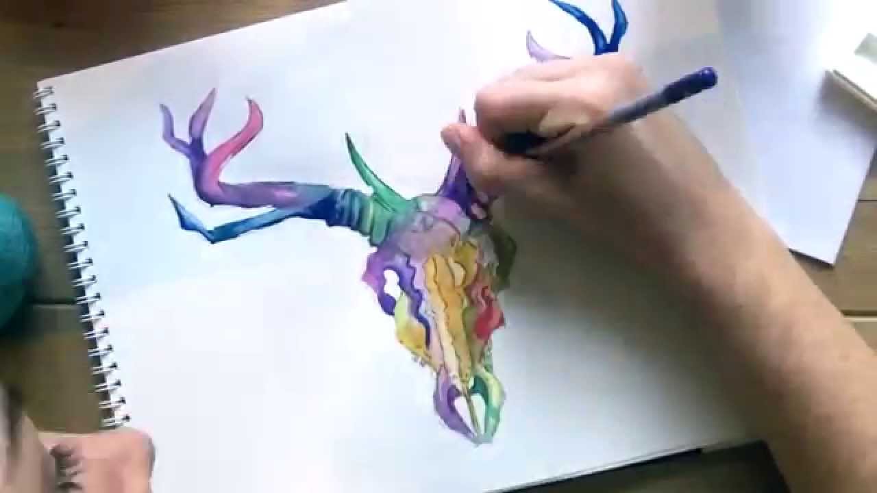 1280x720 Deer Skull Painting W Watercolor Pencils