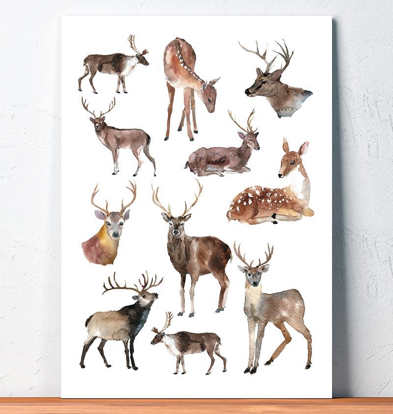 800x842 Deer Collage