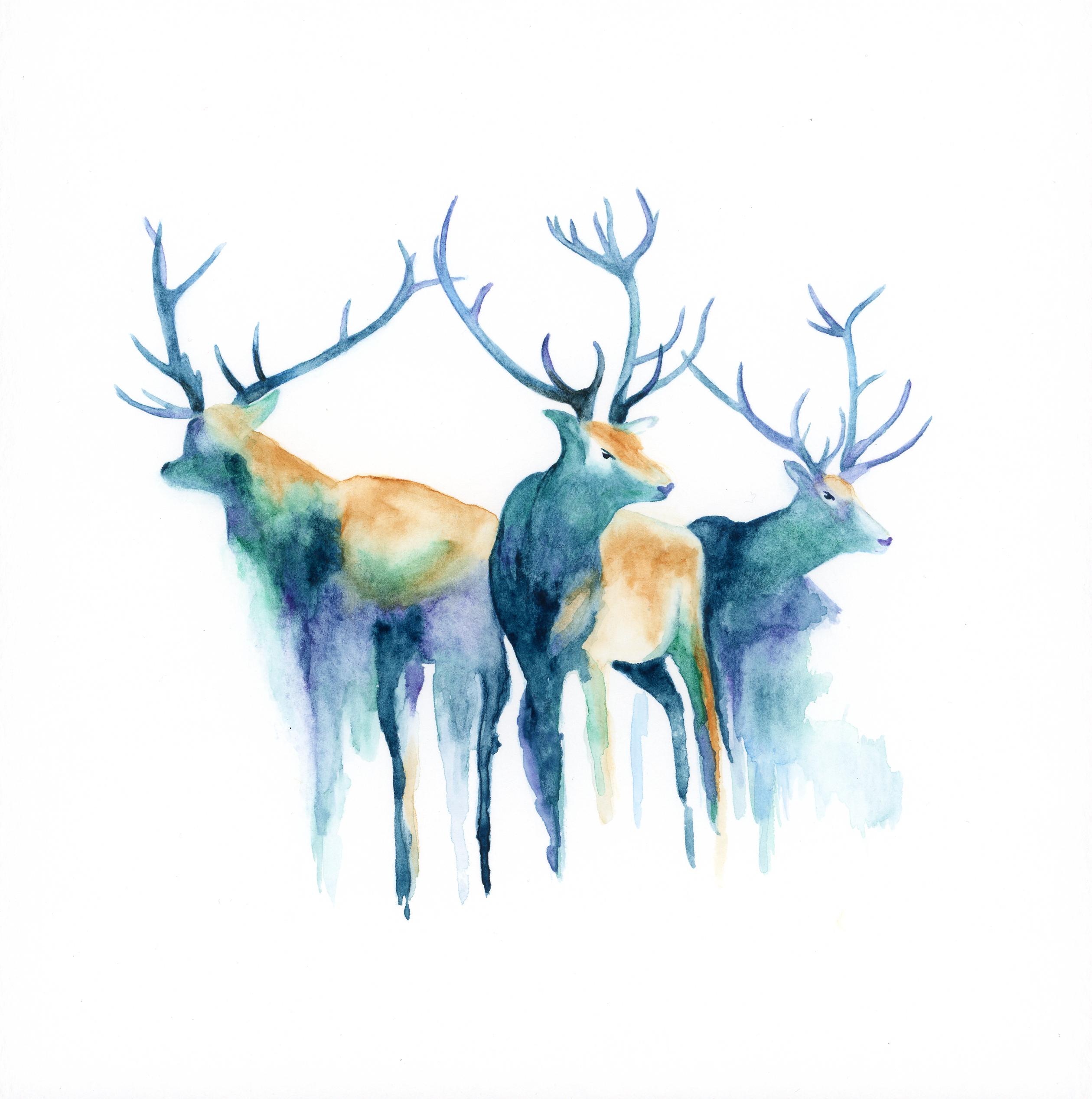2519x2535 Watercolor Deer By My Wife Katlyn Watercolor