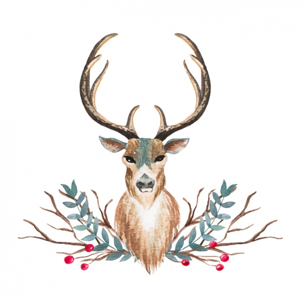 626x626 Watercolor Deer Design Vector Free Download