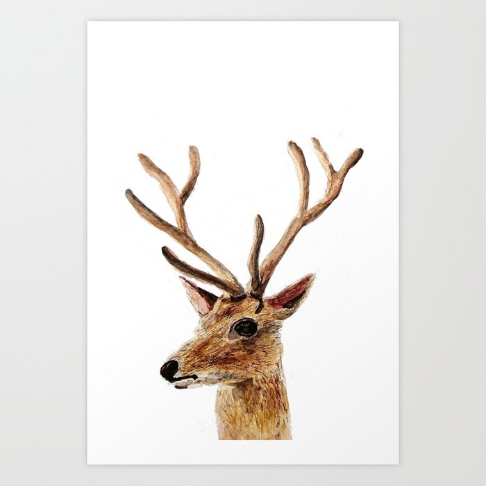 700x700 Deer Watercolor Painting Art Print By Colorandcolor Society6