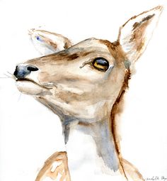 Deer Watercolor Painting