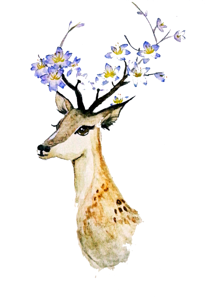 658x953 Deer Creative Watercolor Watercolor Painting