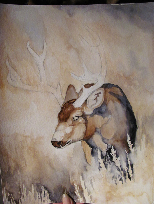 600x791 Wip Deer Watercolor Painting By Morrokko