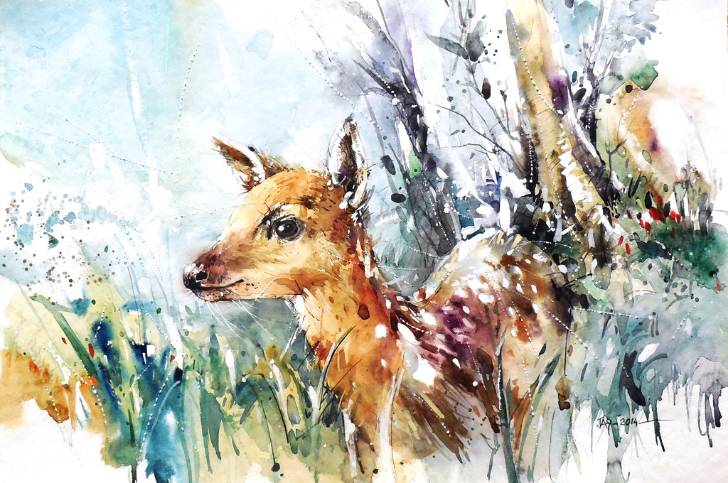 1024x680 Wildlife Watercolor