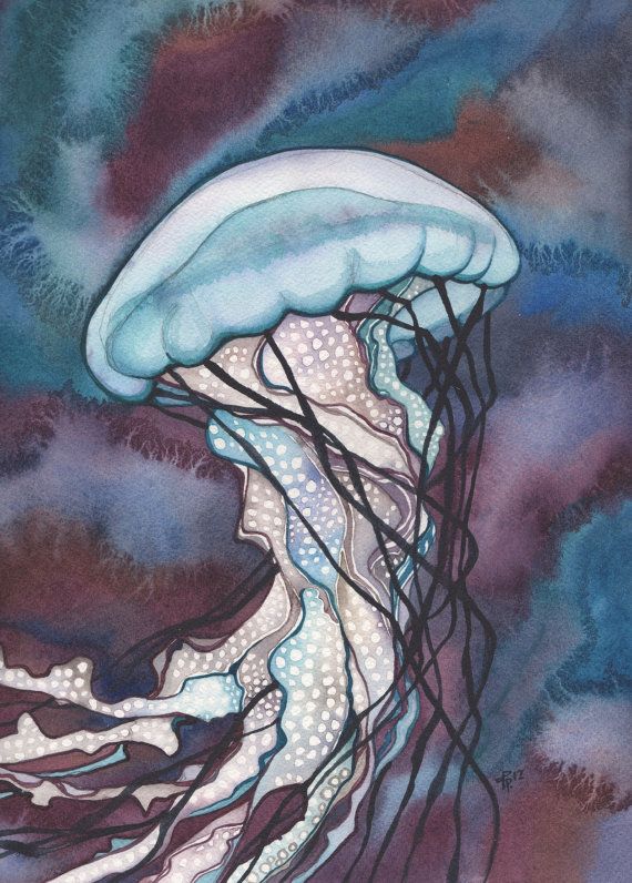 570x796 Sea Nettle Jellyfish 5 X 7 Print Of Detailed Watercolour Painting