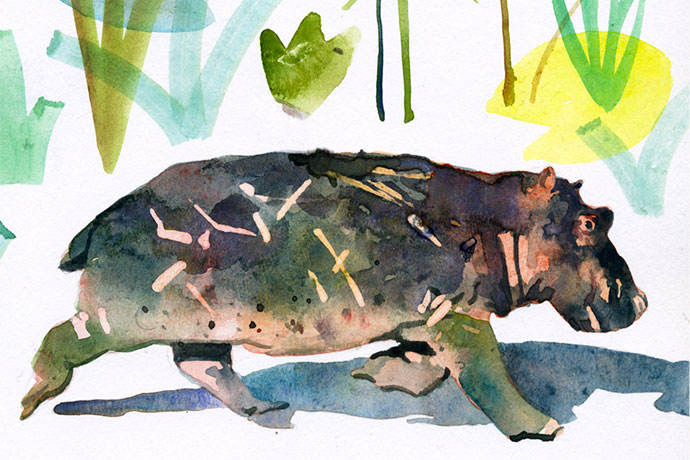 690x460 Very Detailed Watercolor Illustrations By Marcel George Partfaliaz