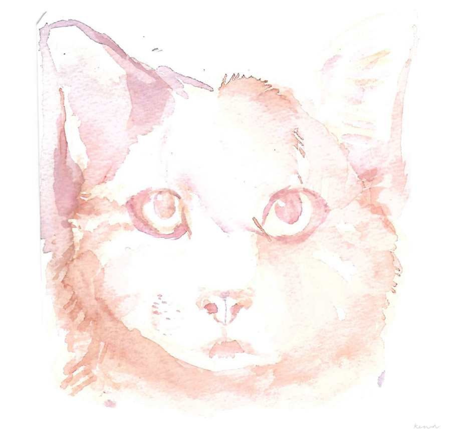 924x864 Collection Of Free Cat Drawing Watercolor. Download On Ubisafe