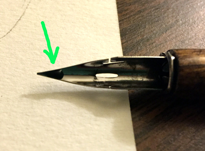 800x588 Fixing Up The Red Poppies Watercolor Jasmine Ray