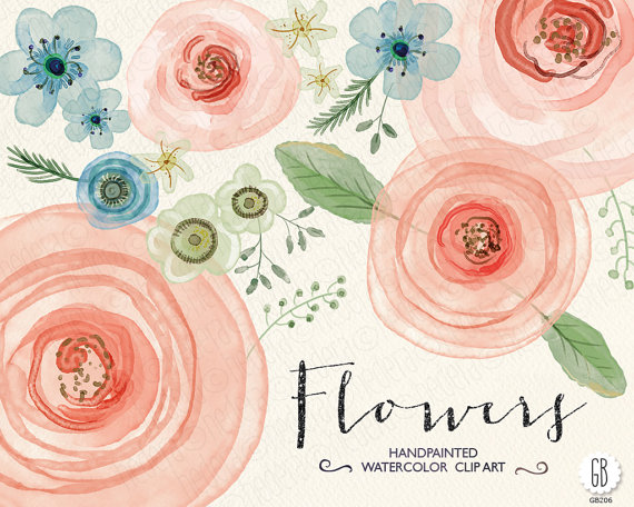 570x456 Watercolor Flowers, Hand Painted Ranunculus, Roses, Hellebore