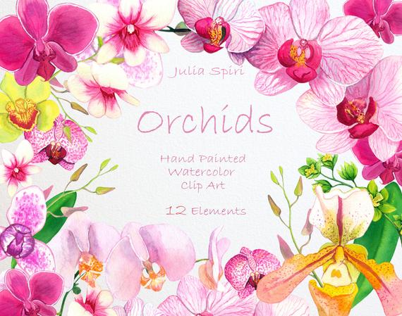 570x449 Watercolor Flowers Clipart Orchids Hand Painted Floral Clip Etsy