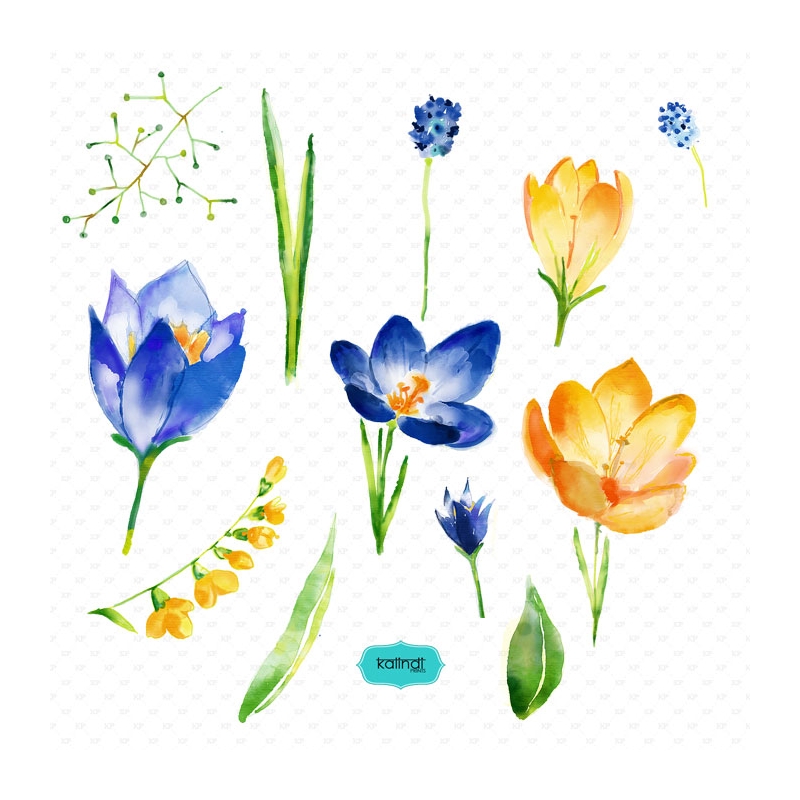 800x800 Watercolor Flowers, Watercolor Cliparts, Hand Painted Watercolor