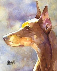 236x295 Doberman Pinscher Art Print Of Original Watercolor Painting