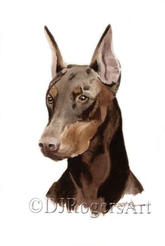 337x500 Doberman Pinscher Watercolor Art Print Signed By