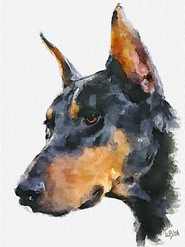 263x350 Doberman Pinscher By Vitaly Shchukin Dog Doberman