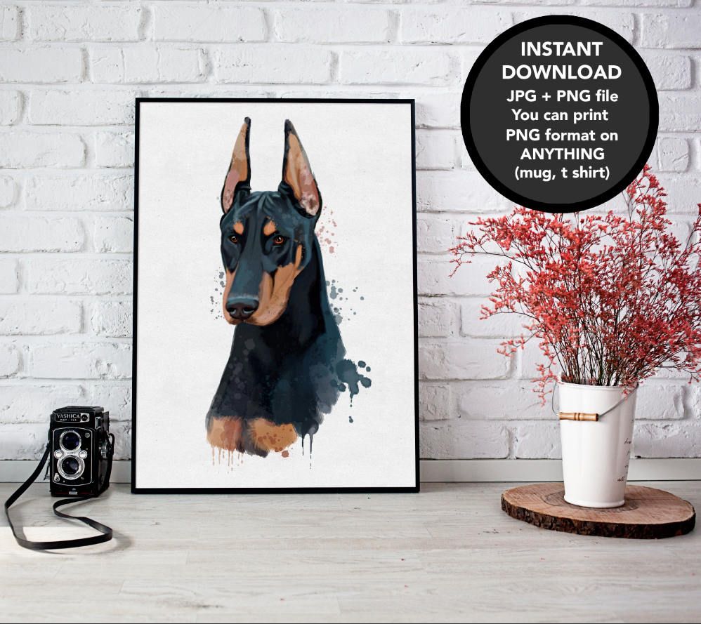 Doberman Watercolor at GetDrawings | Free download