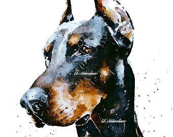 340x270 Doberman Art Etsy