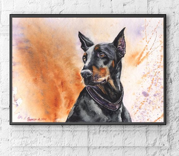 570x499 Doberman Watercolor Print Of The Original Painting Art Cute