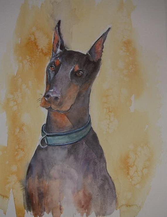 570x741 Doberman Watercolour Painting Etsy