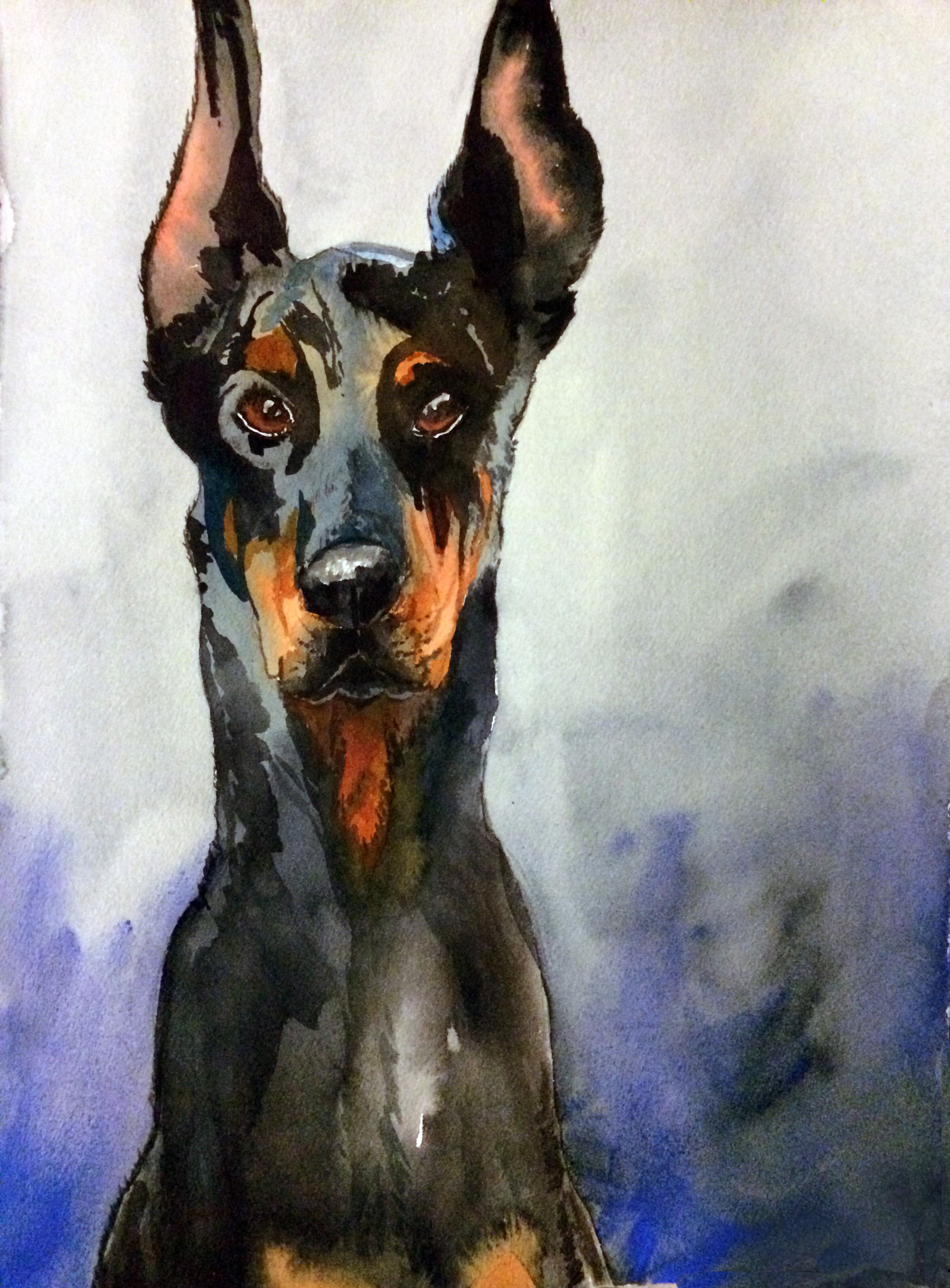 2364x3204 The Noble Doberman. Watercolor Painting By Sarah Van Evera