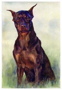 206x300 Artav Doberman Pinscher 02 Art Print Of Watercolor Ebay