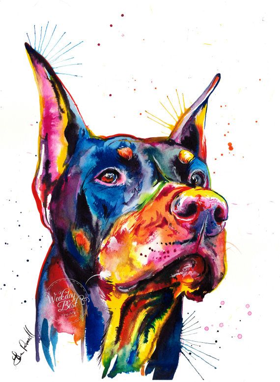 570x779 Colorful Doberman Pinscher Art Print